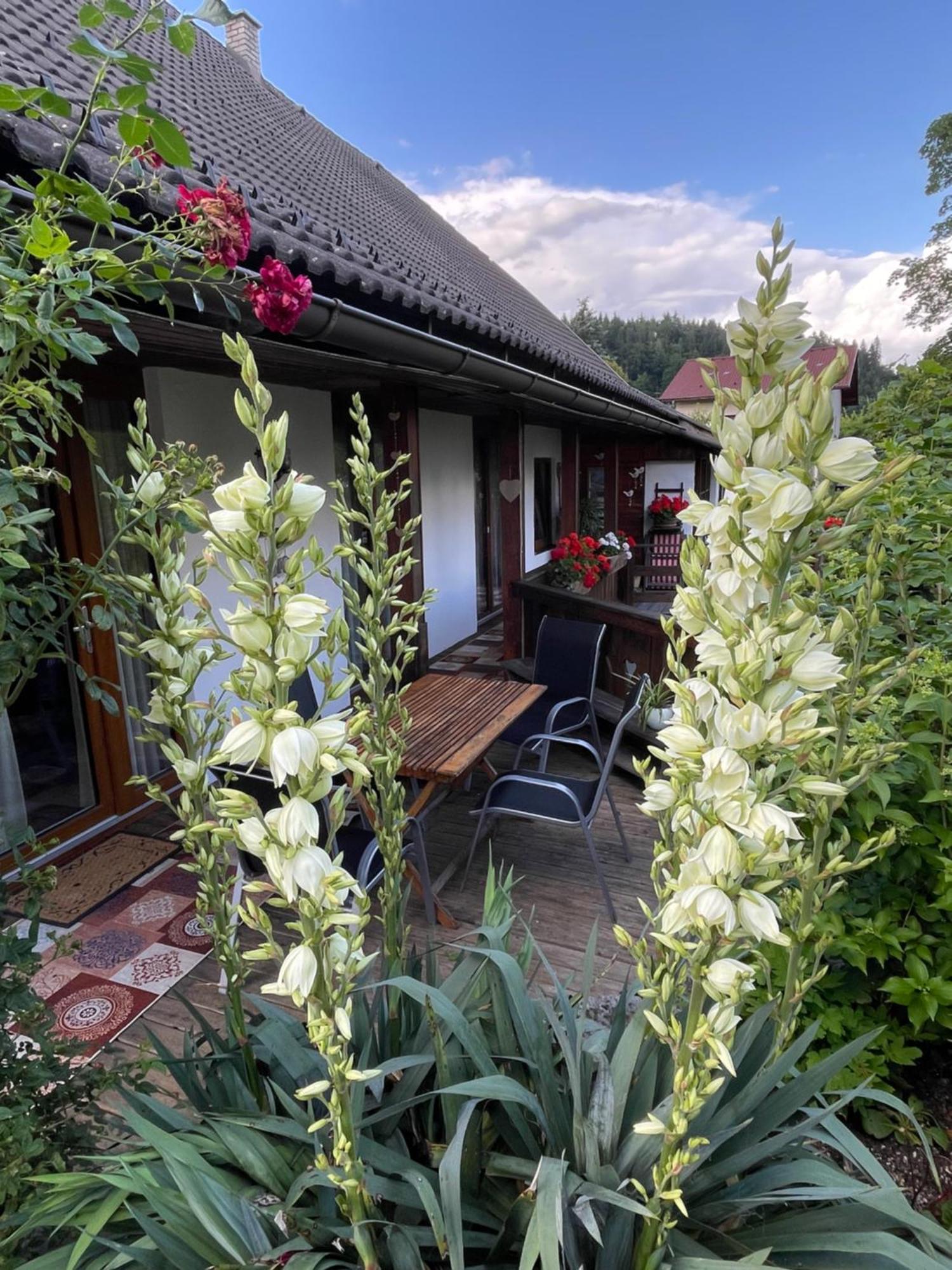 Apartments Wrolich Latschach ober dem Faakersee Zewnętrze zdjęcie